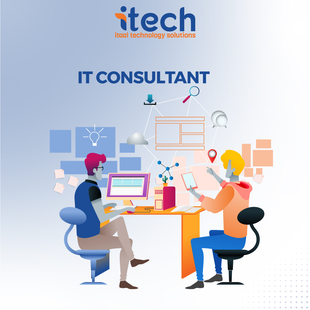 IT Consultant